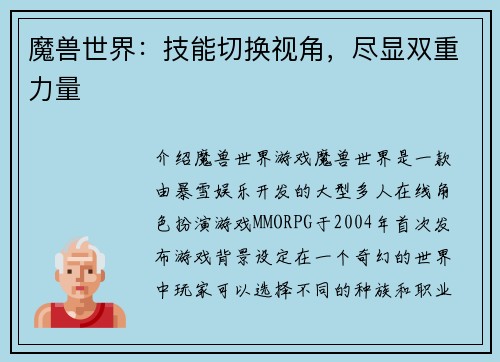 魔兽世界：技能切换视角，尽显双重力量
